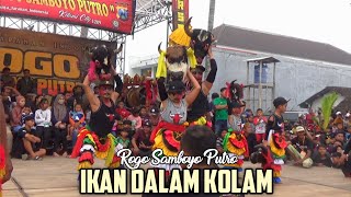 Lagu Terbaru IKAN DALAM KOLAM ROGO SAMBOYO PUTRO Live Jagul Ngancar Kediri 2023