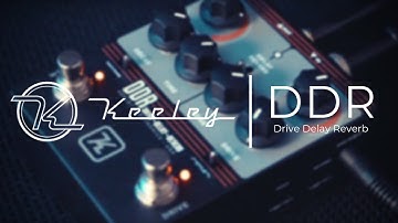 A GIGGING ESSENTIAL | Keeley Electronics DDR
