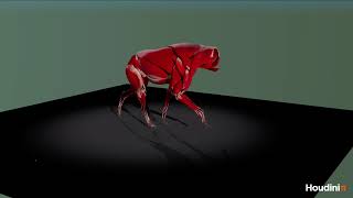 Adonis Hyena Muscle Tissue Layer - Tutorial will follow #inbibo #adonis