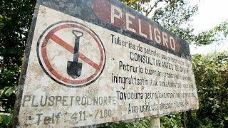 Tax Avoidance in the Netherlands Effects Indigenous Communities in the Amazon