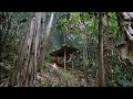 Survival Instinct, Wilderness Alone, Survival In the Tropical Rainforest ( episode 63 )