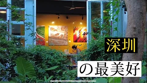 可能是深圳最美好的地方 | 華僑城創意文化園 | OTC-Loft | 粵語中文字幕 | 沉寖式線上旅遊體驗 - 天天要聞
