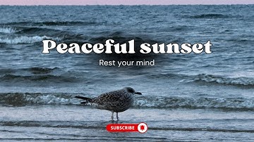 Golden Hour / Beautiful Sunset / Breathtaking Beauty of the Baltic sea