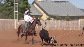 Slowing a Heel Horse Down and Softening Them Up