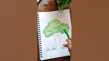 This EASY Drawing Tutorial will teach you how to draw a Tree in just a few simple steps! #shorts