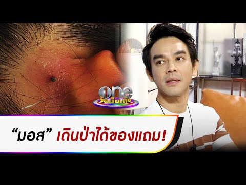 “มอส” โดนเห็บกัดหวั่นเป็นโรค Lyme | ประเด็นร้อน