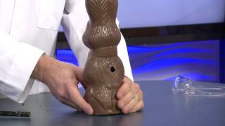 Jason Lindsey, Hooked on Science   Bunny Explosion Profile