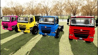 TRANSPORT COLORED TATRA PHOENIX - Farming Simulator 22