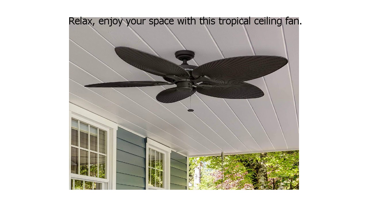 Special Discount on Honeywell Palm Island 52-Inch Tropical Ceiling Fan, Five Palm Leaf Blades,