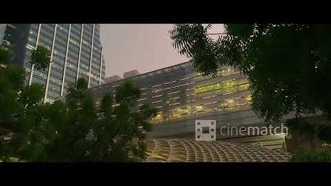 FiLMiC Pro LogV3 to Arri Colors | CineMatch | iPhone 12 Pro