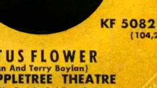 The Appletree Theatre - Lotus Flower