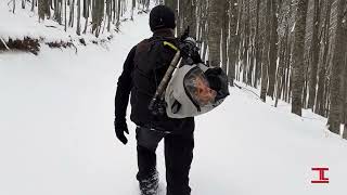 Ceppo, I Faggi Torti