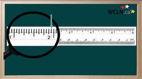 WCLN - Fractions and Measurement