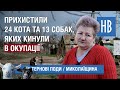 Що російська армія залишила після себе в селі Тернові Поди біля Миколаєва / НикВести