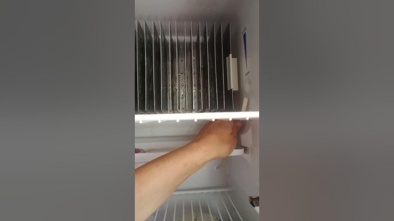 RV Fridge Freezing My Food YouTube