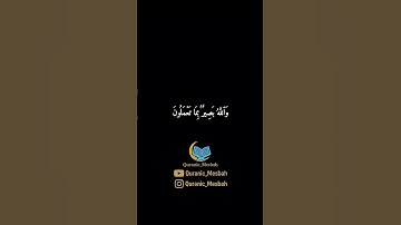 تلاوة هادئة و مؤثرة لشيخ منشاوي #قرآن #quran #القرآن_الكريم #اكسبلور #تيك_توك #لايك #المصحف #reels