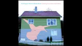 Satin In A Coffin - The Bluegrass Tribute to Modest Mouse