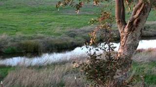Watson Hollow