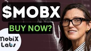 MOBX Stock Analysis Today Mobix Labs Stock Prediction & Price Target MOBX Stock Forecast & News