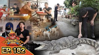 ไทยทึ่ง WOW! THAILAND | EP.182 #จระเข้เฝ้าบ้าน จระเข้สุดเชื่อง เลี้ยงเอาไว้ให้เฝ้าบ้าน