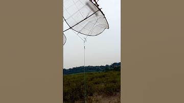 thả diều thả 3 mét dây #shorts