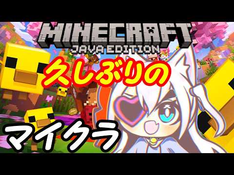 【Minecraft】久しぶりのマインクラフト初めから！08【VTuber】