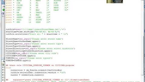 Insert into Oracle table by Python script