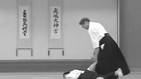 Nishio Aikido Ryu -  Shomenuchi Nage