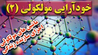 خودآرایی مولکولی چیست؟ | خود آرایی پویا، خود آرایی اتلافی، ماشین های مولکولی و تشکیل موجودات زنده