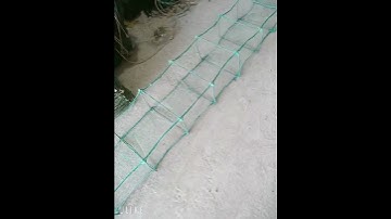 lú củ. lộp củ. 12 cửa ngục củ. đặt sông. đặt vuông. bắt tôm cua. đủ loại. lh. 0963818136