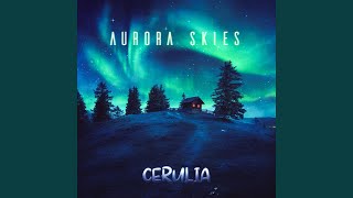 Aurora screenshot 2