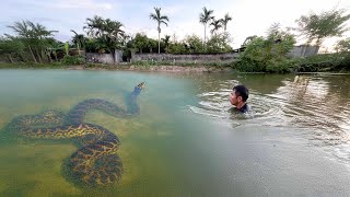 Man Faces a GIANT Water Python Beneath the Surface – Terrifying Encounter!