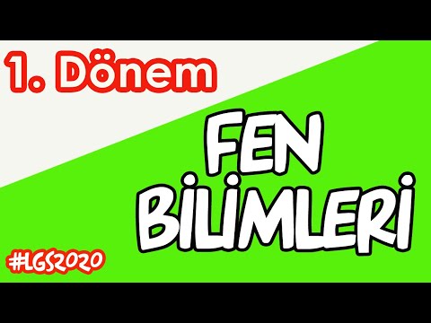 1. DÖNEM FEN BİLİMLERİ | 8.SINIF