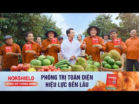 #2023 Norshield 86.2wg – Đồng đỏ thông minh, phòng trị toàn diện, hiệu lực bền lâu | Hợp Trí Summit