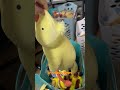 Rocket City Resellers: Subscribe for Cute Plushies & More! #shorts