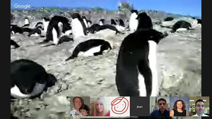 Jean Pennycook: Virtual Field Trip to Antarctica!