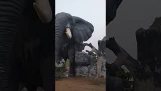 #zoo #animals #dubai #shortvideo