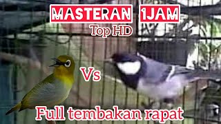 Download lagu Full Tembakan Rapat - Masteran Terbaik Pleci Dan Gelatik mp3
