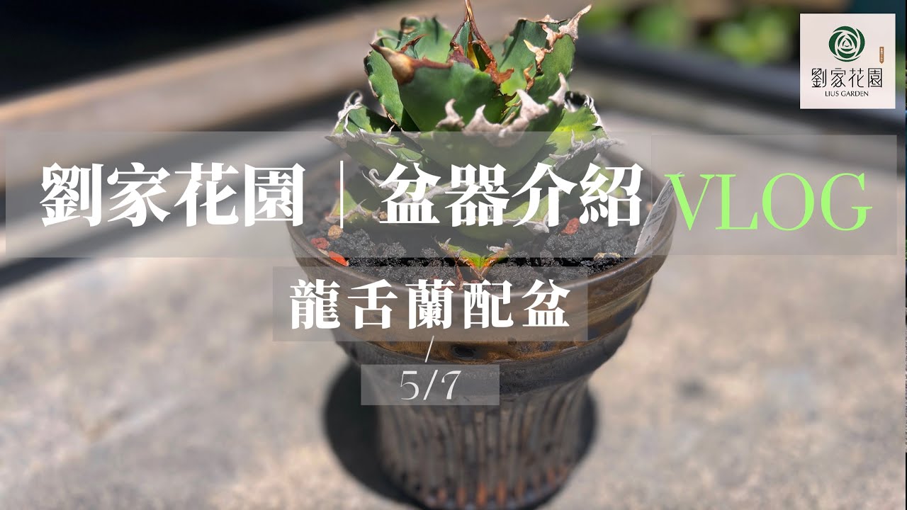 植木鉢 xiao.pottery / 蕭窯生活工作室 ブラウン xiao.pottery / 蕭窯