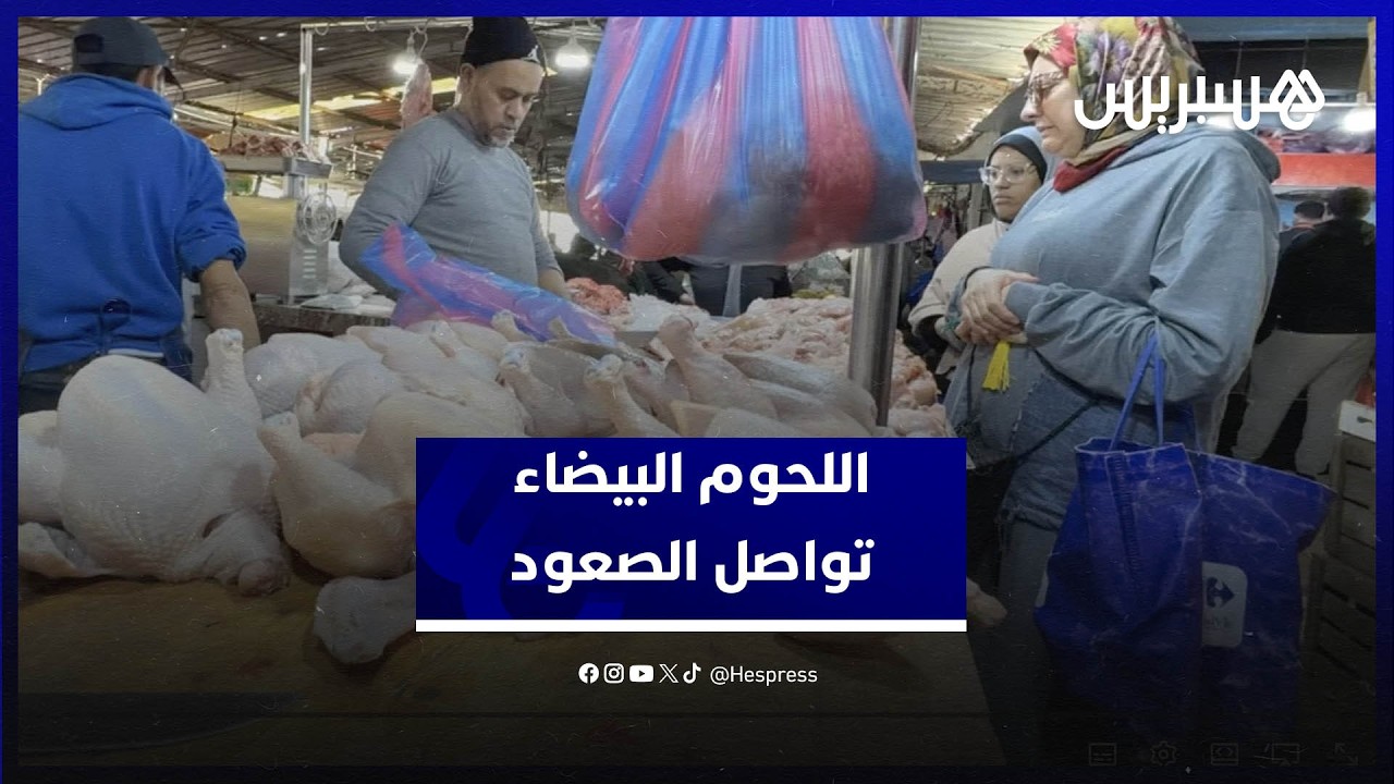 أسعار اللحوم البيضاء بين ارتفاع الطلب وتراجع العرض… مواطنون يشتكون والباعة يوضحون الأسباب