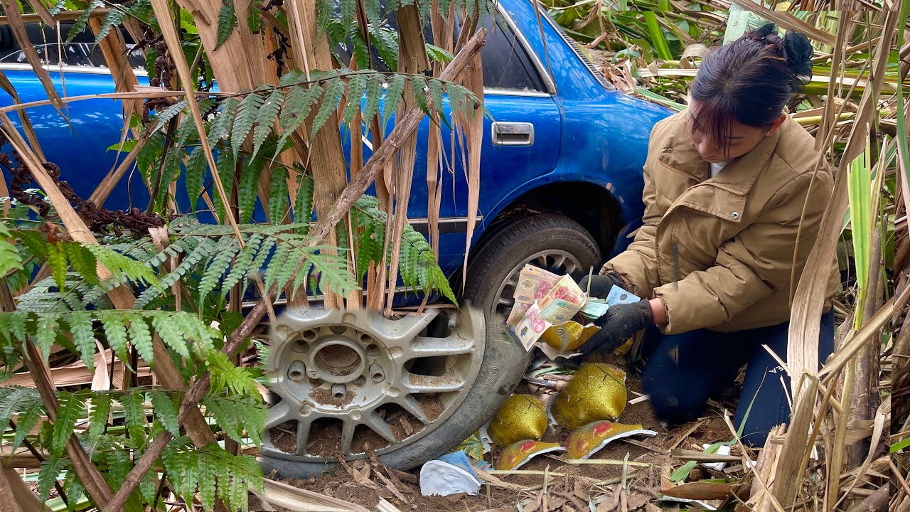 The girl accidentally found a car in a reed field and dug up a pile of paper money.