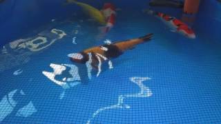 Koi Expo 2017 Mafz Erlebnispark Bei Berlin