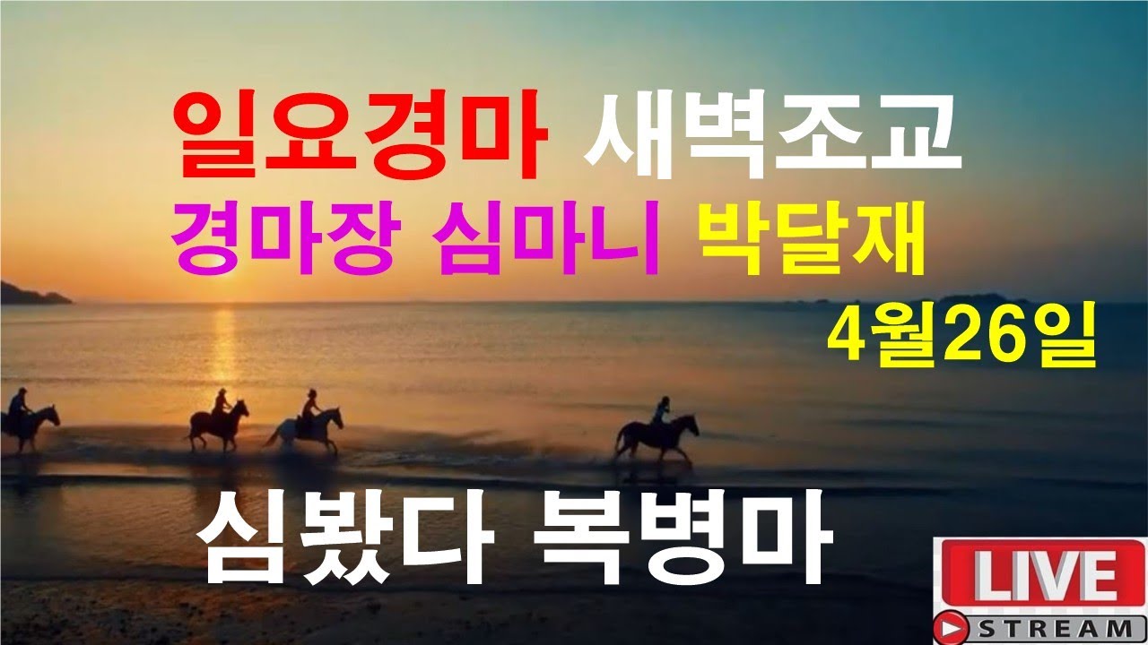 4월26일 일요경마  새벽조교 분석방송 경마예상 추천마번 복병마  라이브 방송 경마장 심마니 박달재 서울경마 부경경마 제주경마 경주분석 추천마번 예상방송 박달재