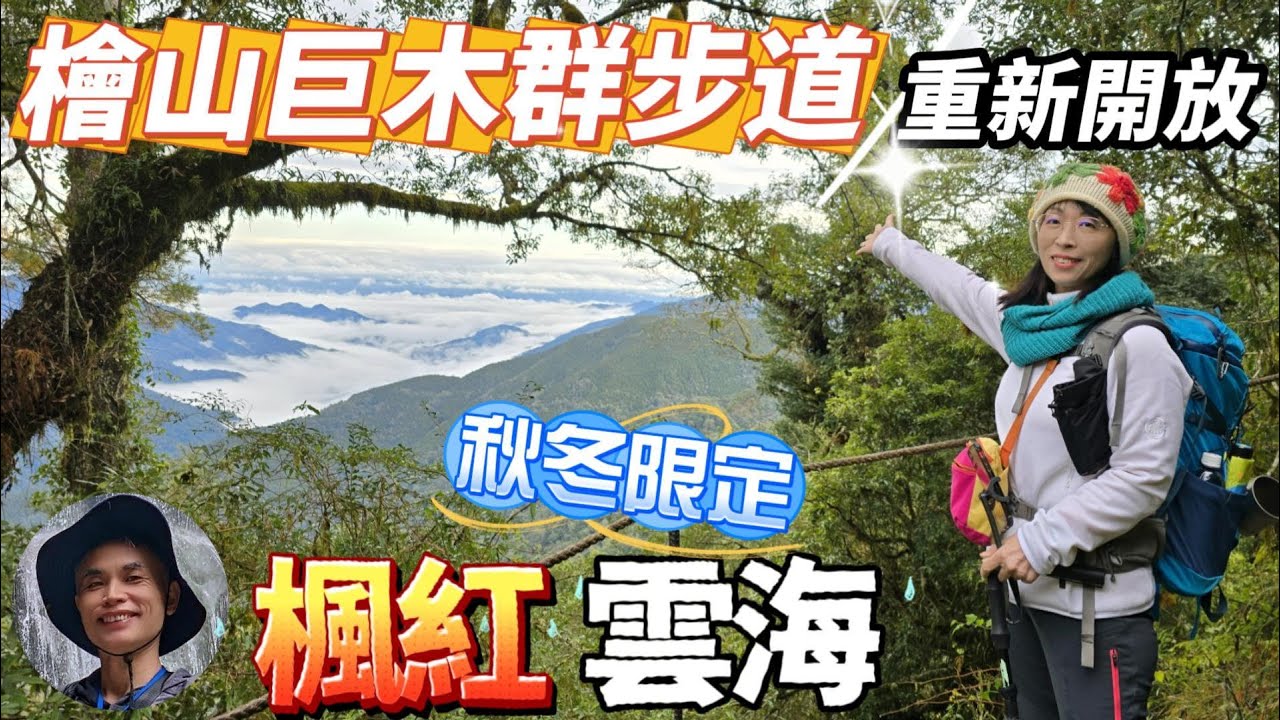 重新開放，觀霧國家森林遊樂區檜山巨木群步道，美到爆，輕鬆就可欣賞到百岳等級的美景，賞楓季節，比霞喀羅看到更多楓紅，綿花糖及雲瀑般的各式雲海，神木、楓紅、楓葉地毯，彷彿人間仙境。