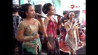 FULL SRAGENAN KOPLO Campursari JAYA NADA