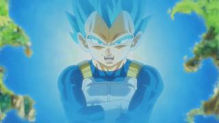 Vegeta Expert Teacher