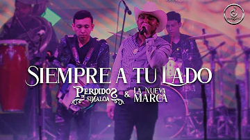 Perdidos De Sinaloa - Siempre A Tu Lado ft. La Nueva Marca (En Vivo)