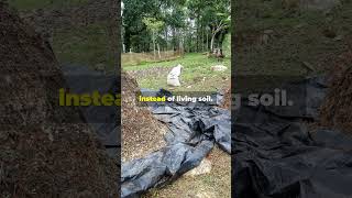 Baking Soda Compost Activation#BakingSoda #CompostActivation #LivingSoil #OrganicGardening