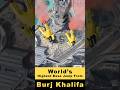 World's Highest BASE Jump from Burj Khalifa  #hungrycheetah