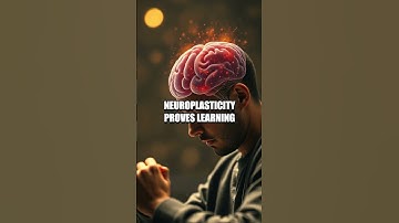 Neural Alchemy Beyond Brain and Byte